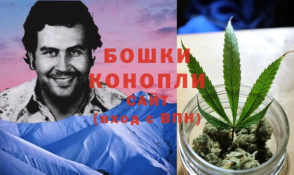 ГАЛЛЮЦИНОГЕННЫЕ ГРИБЫ Алексеевка