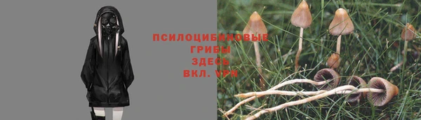 ГАЛЛЮЦИНОГЕННЫЕ ГРИБЫ Алексеевка