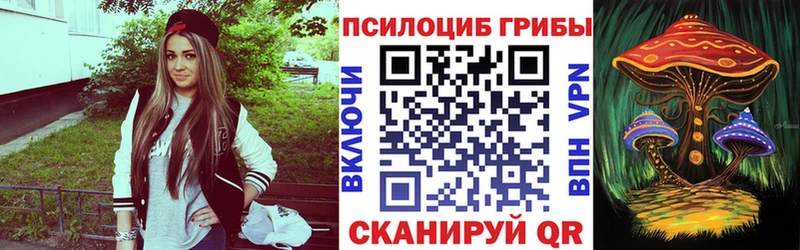 Псилоцибиновые грибы мицелий  Родники 