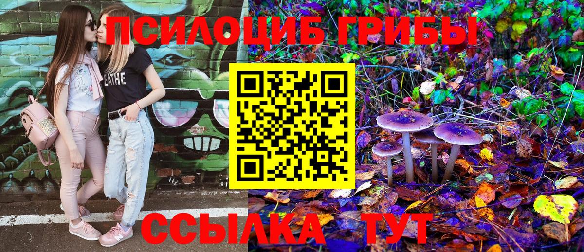 Родники  Галлюциногенные грибы Magic Shrooms  Вход с VPN 