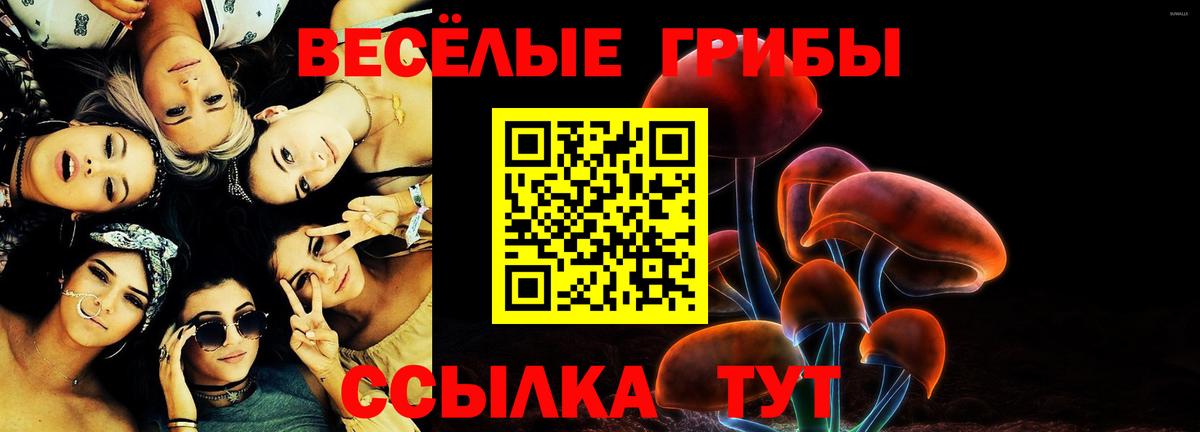 Галлюциногенные грибы мицелий Родники