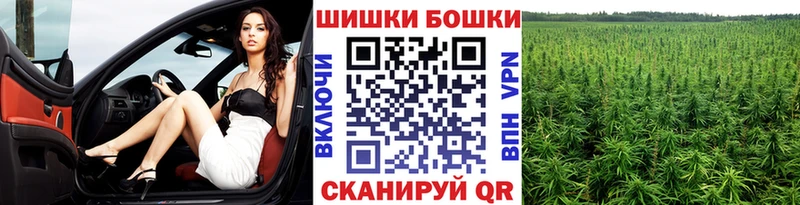 Каннабис ГИДРОПОН  Родники 
